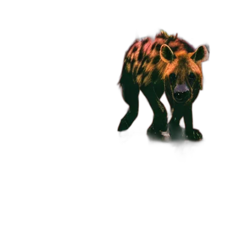 animal, creature, staff, hair transparent PNG cut-out
