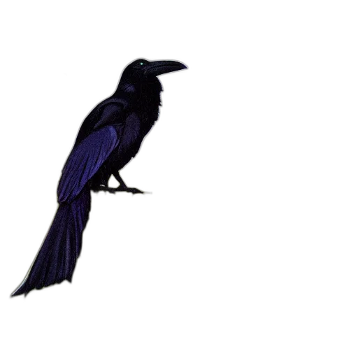 animal, creature, dragon, umbrella transparent PNG cut-out