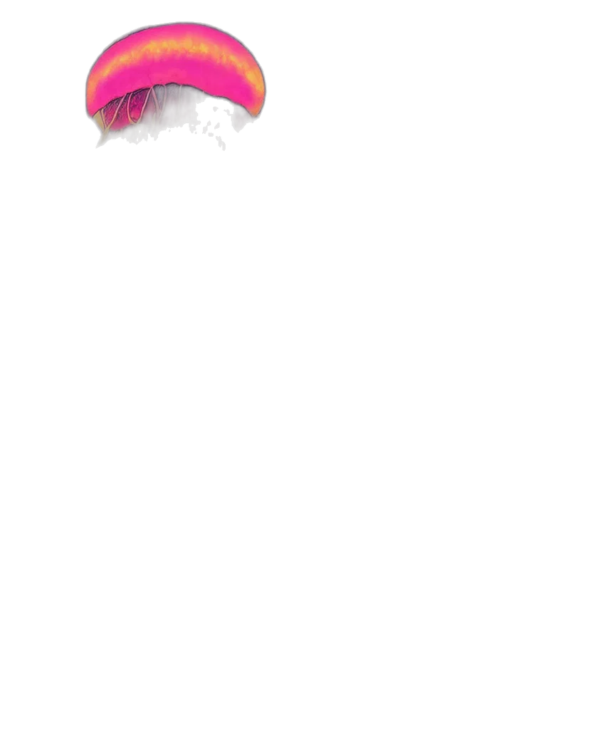 hat, mask, crown, staff transparent PNG cut-out