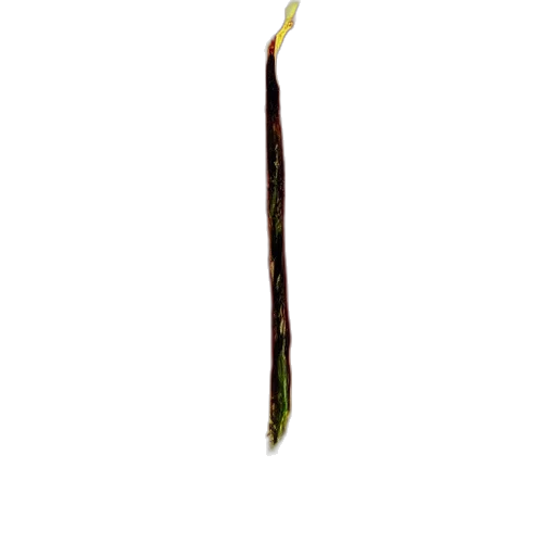 hair, staff, sword, weapon, photorealistic, 3d render, concept art, pixel art transparent PNG cut-out