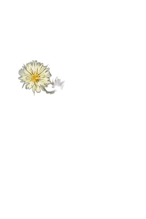flower, jewelry, crown, weapon, pixel art, 3d render, photorealistic, concept art transparent PNG cut-out