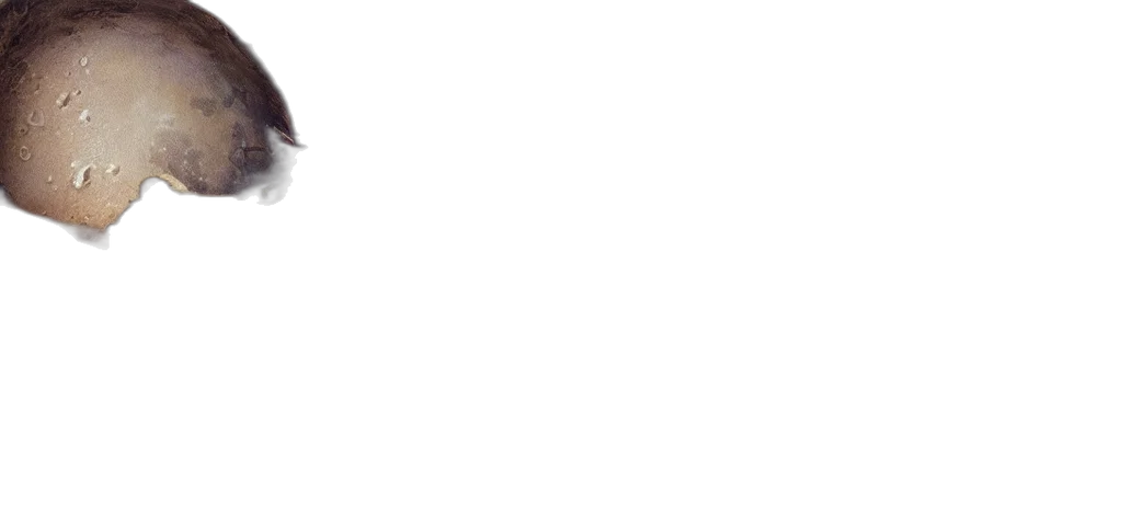 moon, protodoom, cog, scribe, ray, coherent, detailed, intricate transparent PNG cut-out