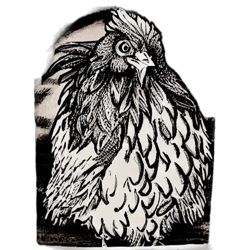jacket, dress, animal, crown transparent PNG cut-out