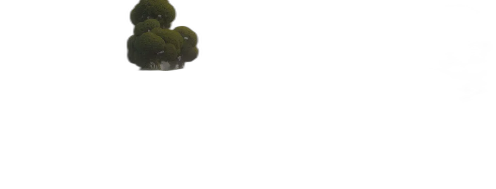 tree, crown, staff, creature transparent PNG cut-out