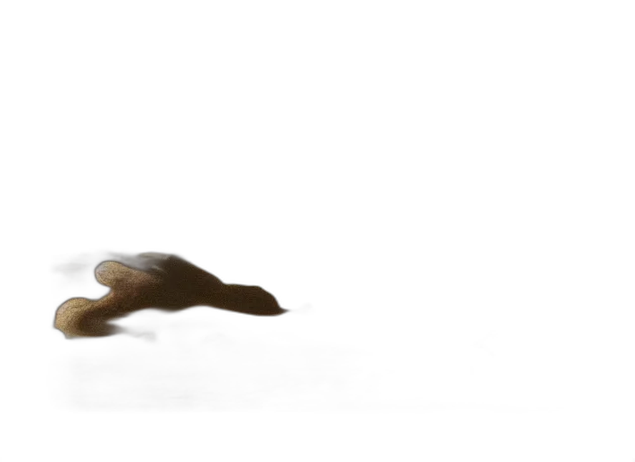 animal, hair, creature, shoes, 3d render, photorealistic, concept art, underwater transparent PNG cut-out