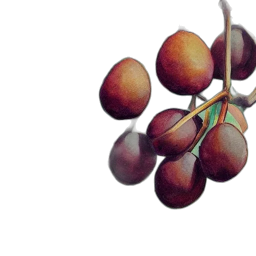 food, crown, tree, jewelry, photorealistic, 3d render, watercolor, oil painting transparent PNG cut-out