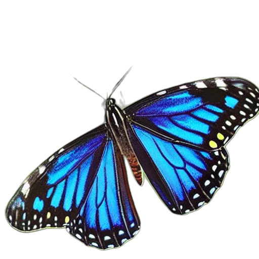 animal, jewelry, creature, crown, photorealistic, 3d render, concept art, oil painting transparent PNG cut-out