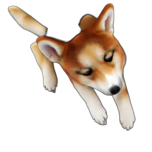 animal, creature, staff, face transparent PNG cut-out