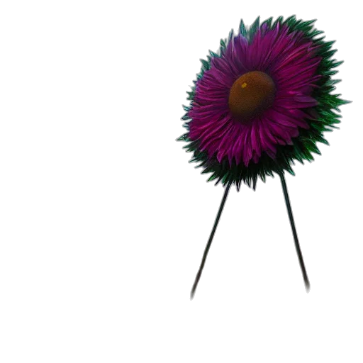 flower, umbrella, staff, crown transparent PNG cut-out