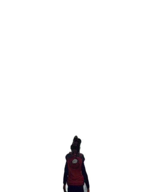jacket, creature, animal, robot transparent PNG cut-out