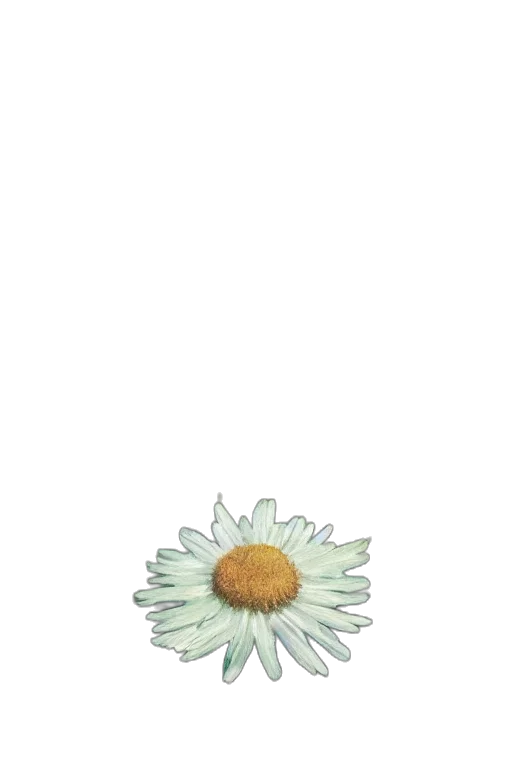 flower, crown, jewelry, staff transparent PNG cut-out