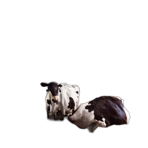 animal, shoes, food, weapon, 3d render, photorealistic, concept art, dirty transparent PNG cut-out