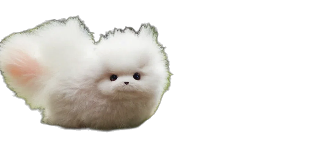 hair, creature, animal, face transparent PNG cut-out