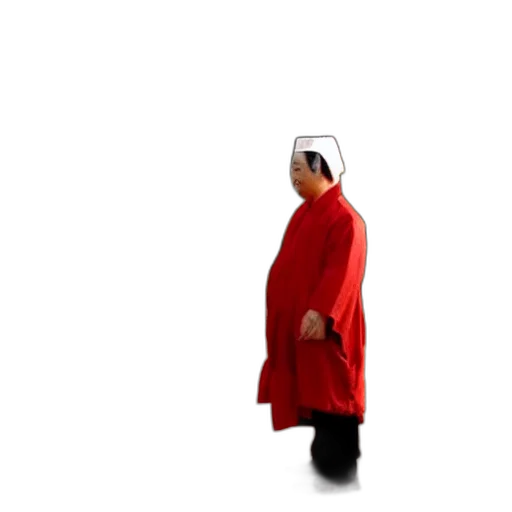 hat, staff, mask, jacket transparent PNG cut-out
