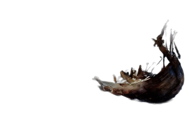 dragon, creature, crown, animal transparent PNG cut-out