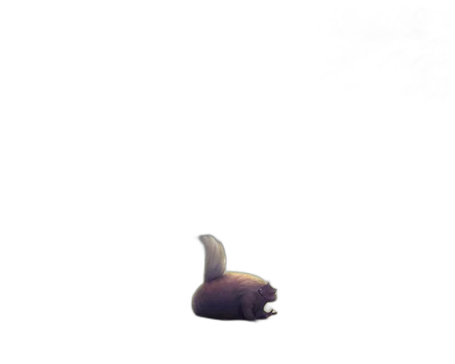 animal, creature, hat, hair transparent PNG cut-out