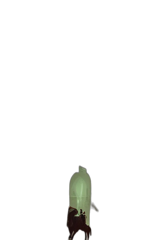 bottle, weapon, staff, umbrella transparent PNG cut-out