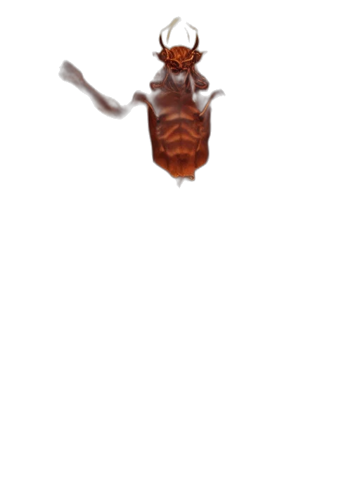 animal, creature, crown, staff transparent PNG cut-out