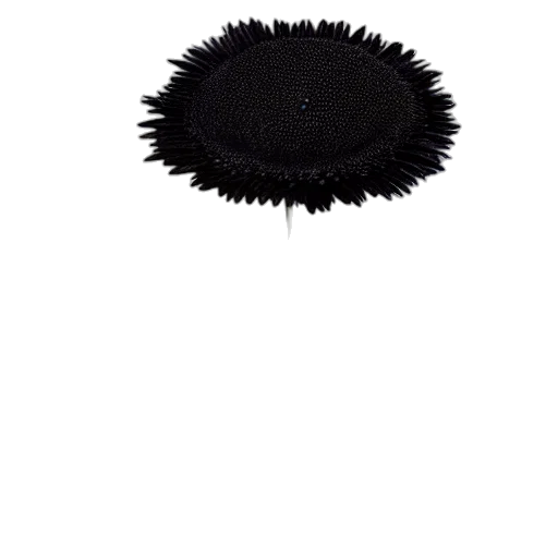 hat, hair, crown, mask, 3d render, dark, monochrome, giant transparent PNG cut-out