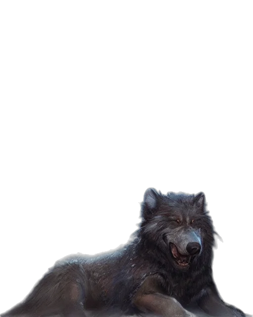 animal, creature, hair, staff transparent PNG cut-out