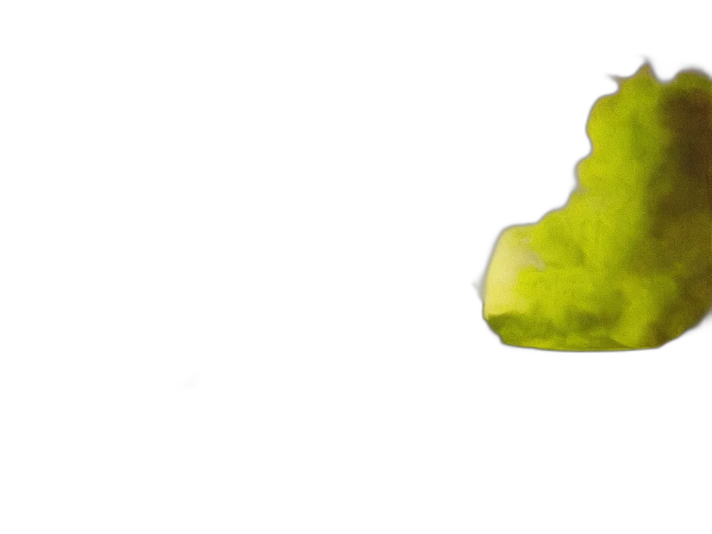 crown, tree, hat, umbrella transparent PNG cut-out