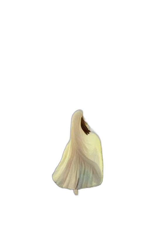 hair, dress, mask, crown transparent PNG cut-out