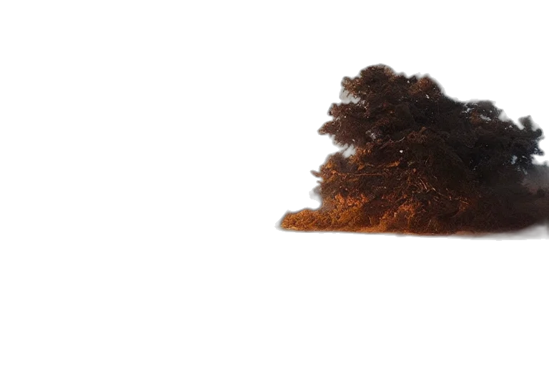 hair, tree, crown, hat, 3d render, photorealistic, concept art, forest transparent PNG cut-out
