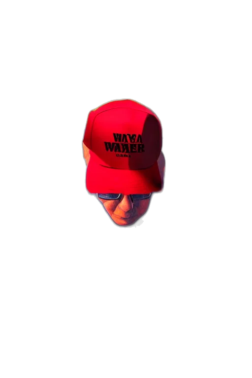 hat, mask, face, creature, 3d render, vaporwave, pixel art, photorealistic transparent PNG cut-out