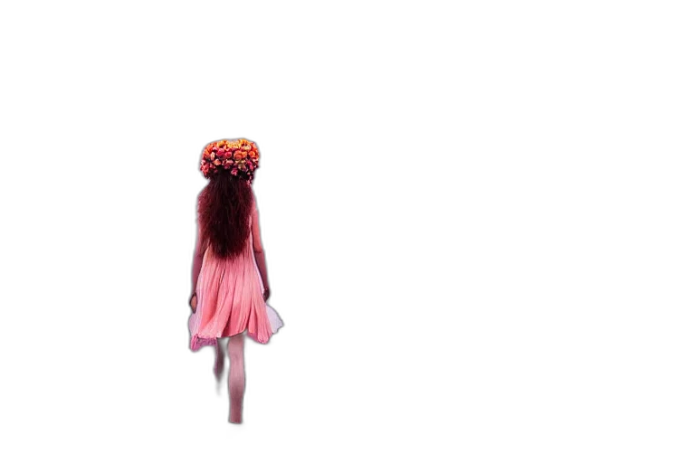 dress, hair, flower, hat transparent PNG cut-out