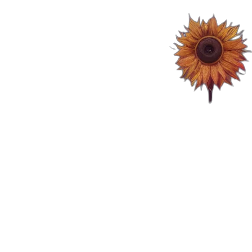 flower, crown, umbrella, staff transparent PNG cut-out