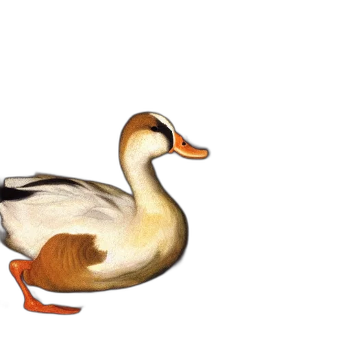 animal, creature, jewelry, photorealistic transparent PNG cut-out