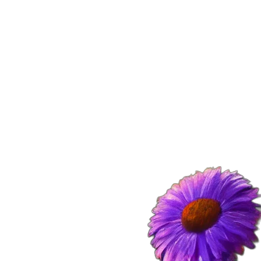 flower, dress, crown, umbrella transparent PNG cut-out
