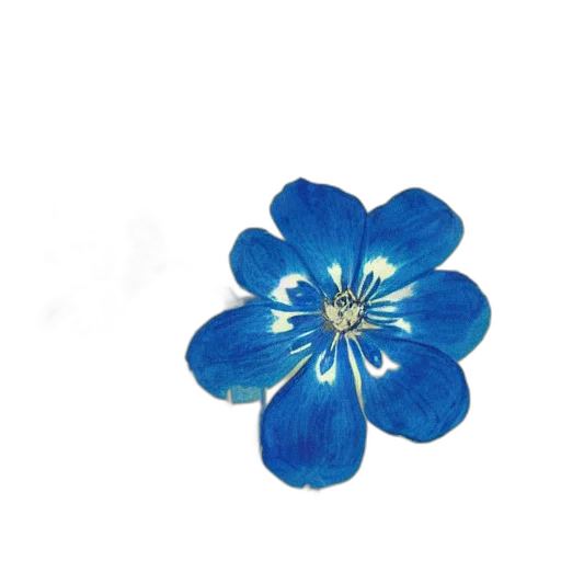 flower, jewelry, crown, staff transparent PNG cut-out