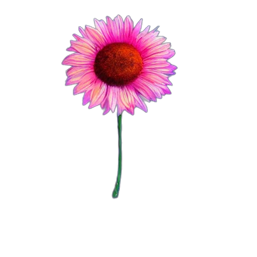 flower, staff, crown, weapon, 3d render, photorealistic, watercolor, concept art transparent PNG cut-out