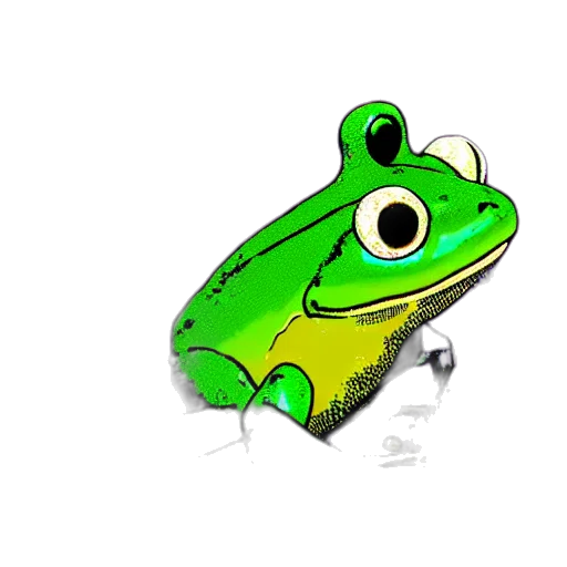 animal, creature, jewelry, face transparent PNG cut-out