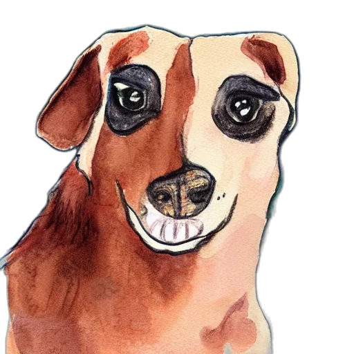 animal, face, creature, staff transparent PNG cut-out