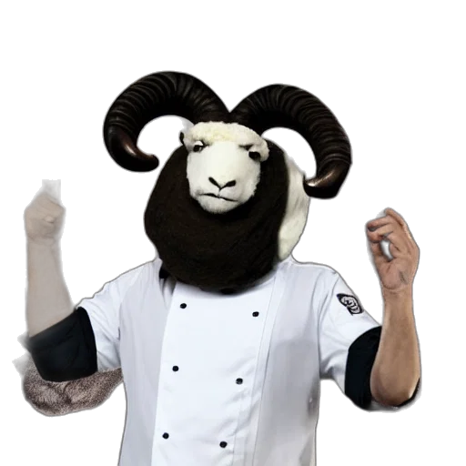 staff, animal, food, creature, 3d render, chef, gordon, ramsay transparent PNG cut-out