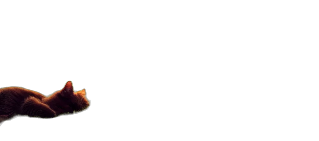 staff, shoes, food, furniture transparent PNG cut-out