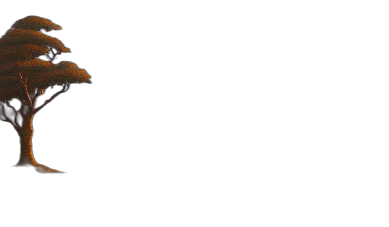 shoes, hat, staff, animal transparent PNG cut-out