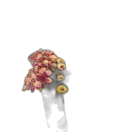 flower, crown, food, umbrella transparent PNG cut-out