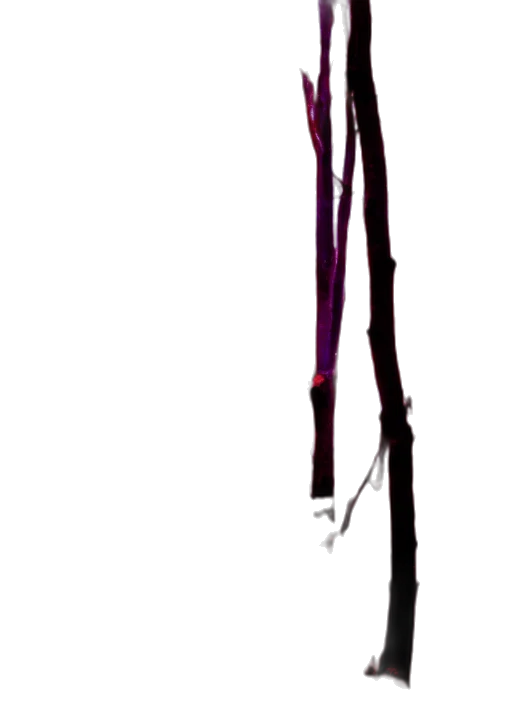 staff, flower, sword, hair transparent PNG cut-out