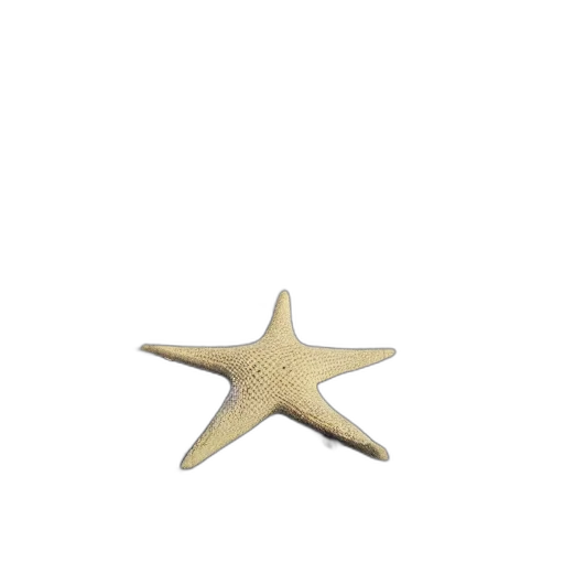 staff, jewelry, crown, hat, 3d render, photorealistic, concept art, outer space transparent PNG cut-out
