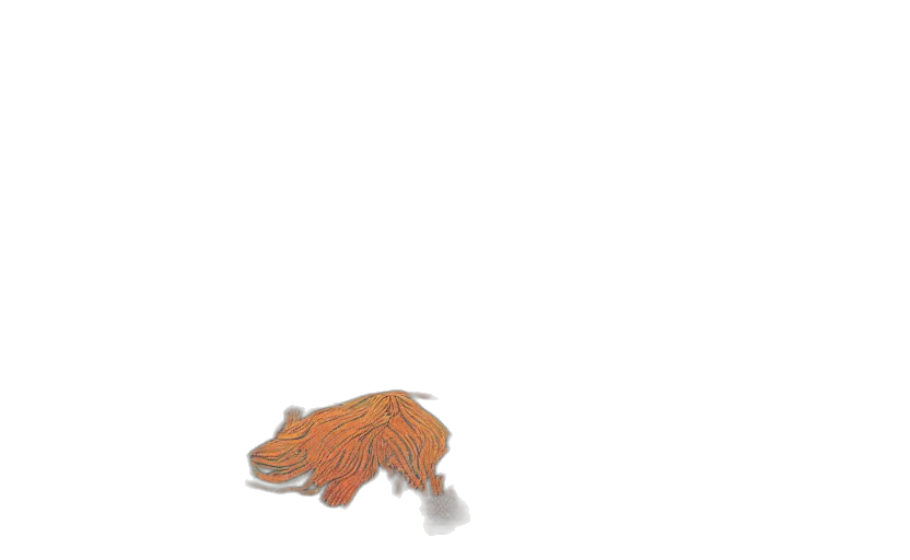 creature, animal, hair, dragon transparent PNG cut-out