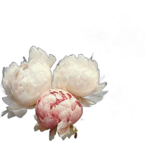 flower, crown, food, jewelry, photorealistic, 3d render, concept art, watercolor transparent PNG cut-out
