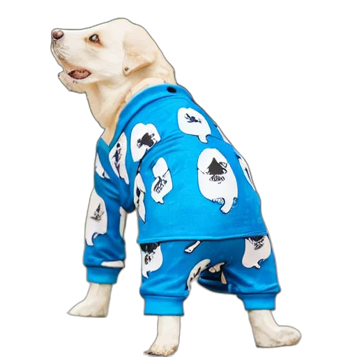 jacket, animal, blue, dog, pants transparent PNG cut-out