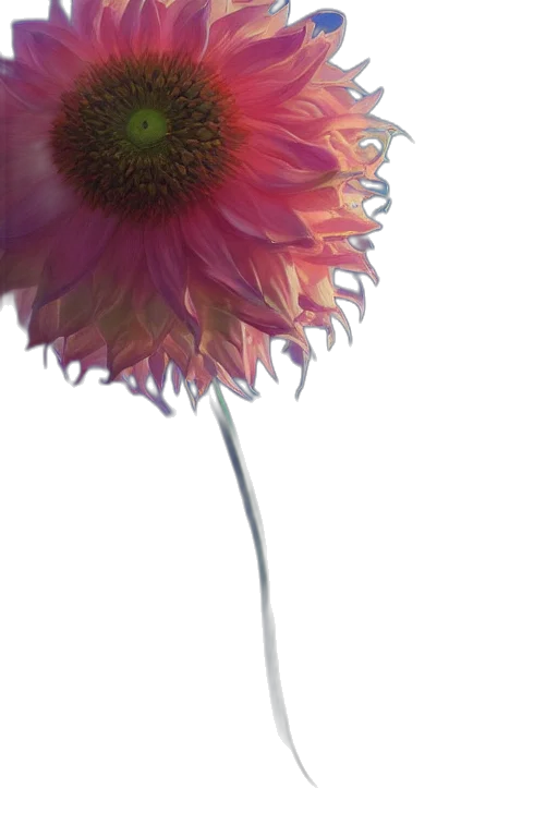 flower, crown, umbrella, staff, photorealistic, 3d render, watercolor, concept art transparent PNG cut-out