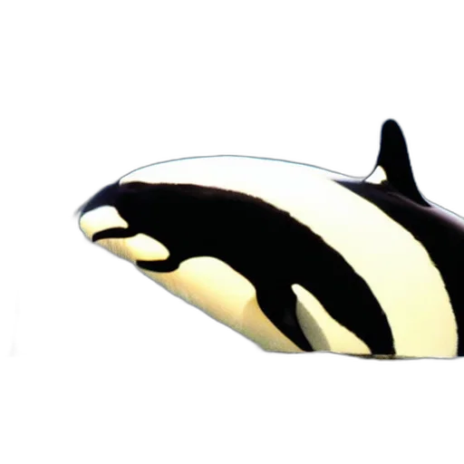 animal, mask, jewelry, food, 3d render, concept art, photorealistic, vaporwave transparent PNG cut-out