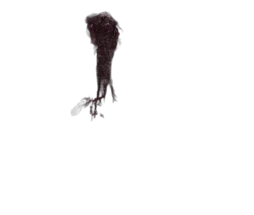 hair, creature, animal, staff, concept art, photorealistic, pixel art, 3d render transparent PNG cut-out