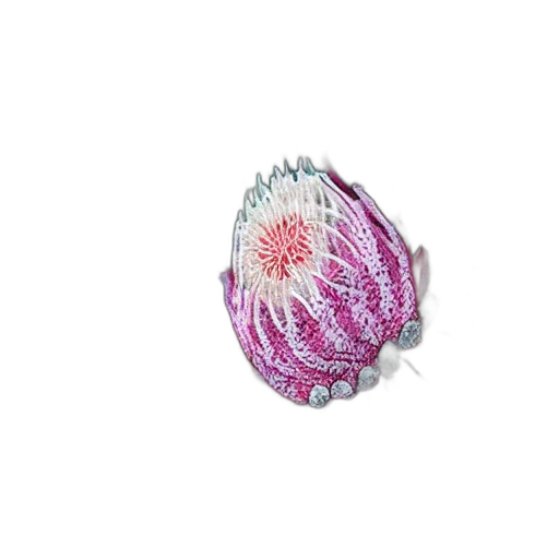 flower, jewelry, crown, hat, photorealistic, 3d render, protea, white transparent PNG cut-out
