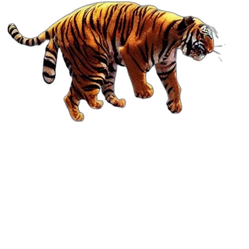 animal, creature, staff, weapon transparent PNG cut-out